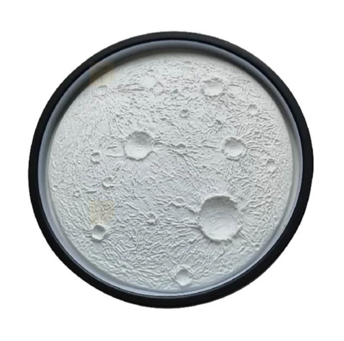 Аллисте Луна рельефная 30см - фото 8809