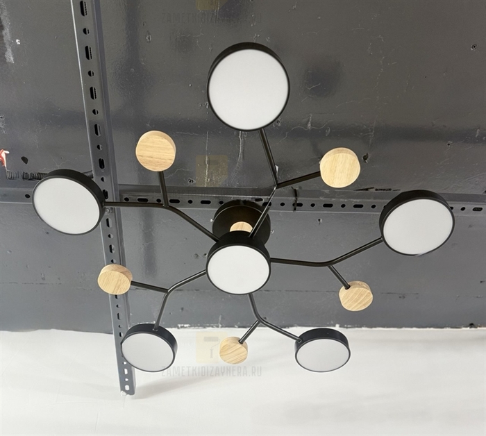 Ракальмуто - фото 8945