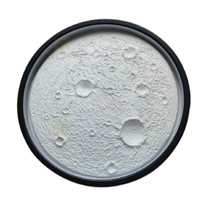 {{productViewItem.photos[photoViewList.activeNavIndex].Alt || productViewItem.photos[photoViewList.activeNavIndex].Description || 'Аллисте Луна рельефная 30см'}}